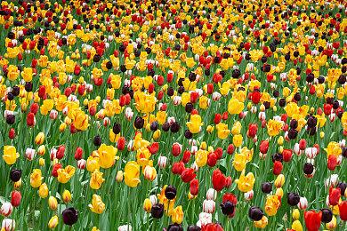 《黑豹2》女主Letitia Wright开箱限定版Xbox游戏机