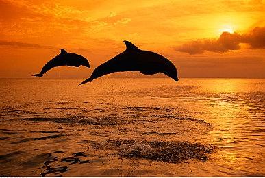 《少女前线》继承版宣布2025年夏季上线 登陆Steam