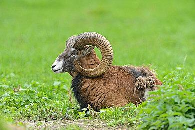 《九阴真经：武侠》实机画面：虚幻5打造 偏单机体验